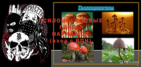 амф Алзамай